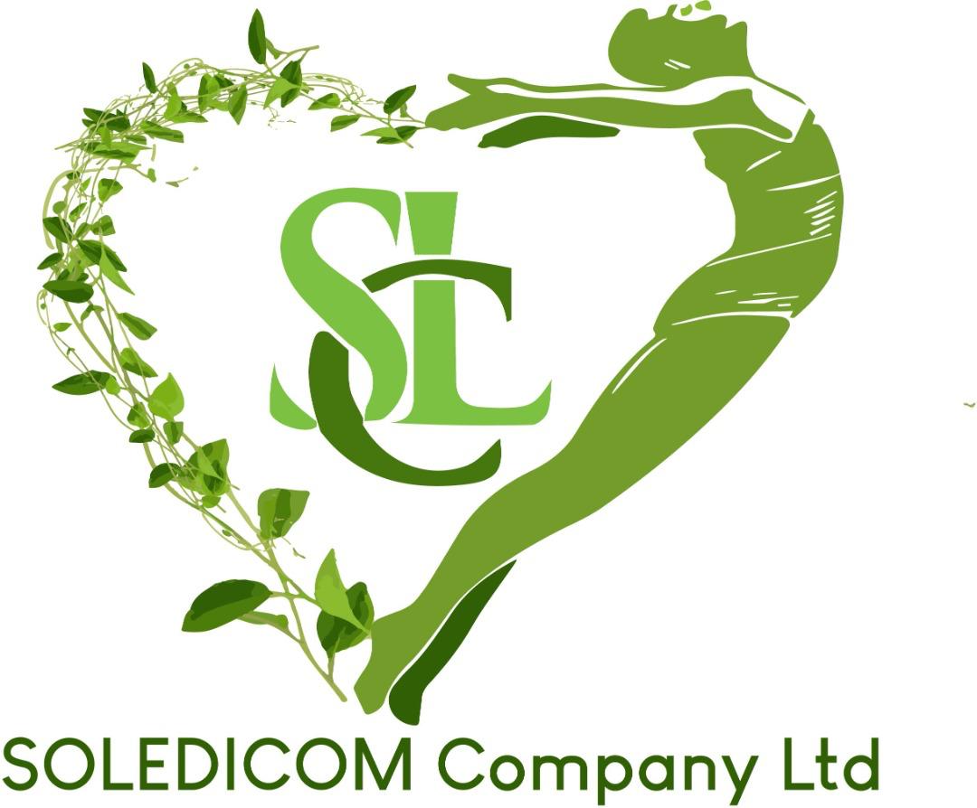 Soledicom Logo